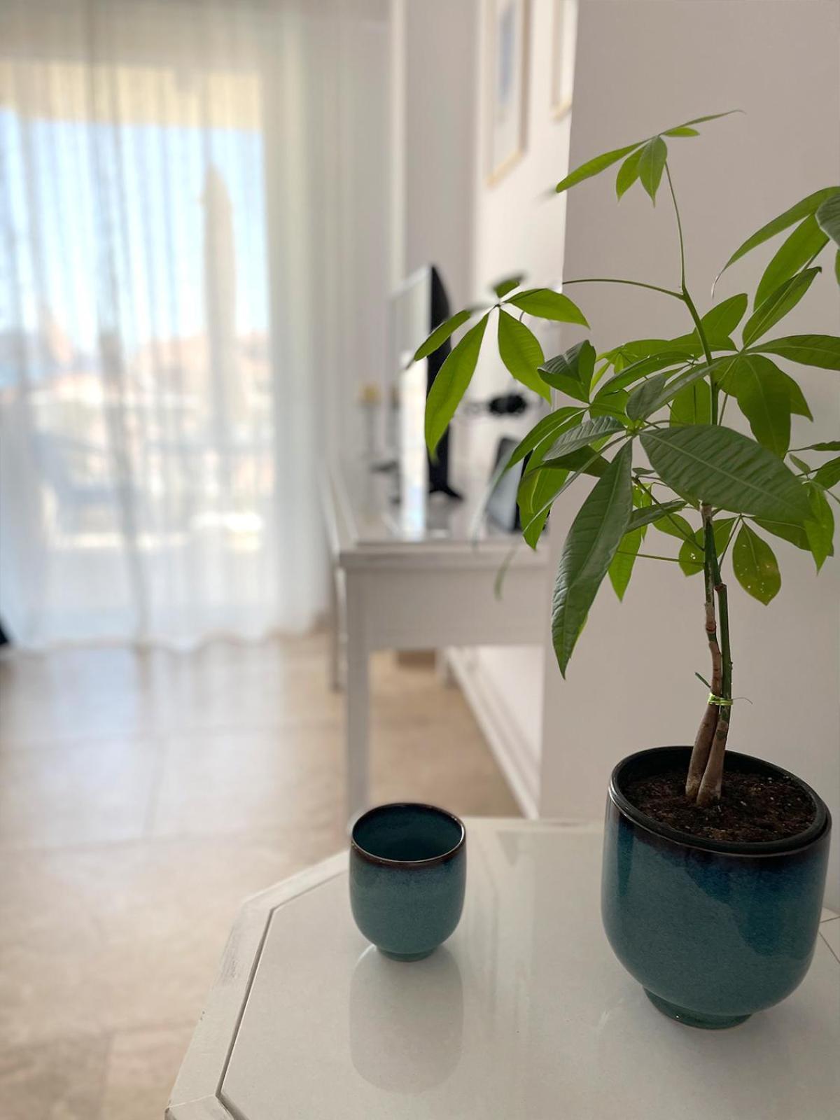 Odysseus Boutique Apartment エルミオニ エクステリア 写真